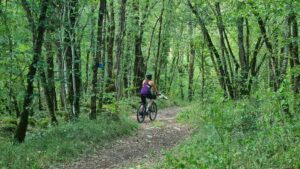 VTC-E chemins de Saint Jacques-2 (Tournon d'Agenais 47)