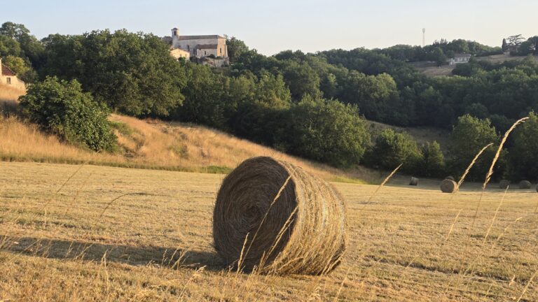 chaumes (Sérignac)