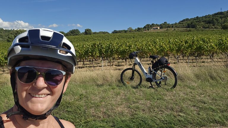 vélo et vignes